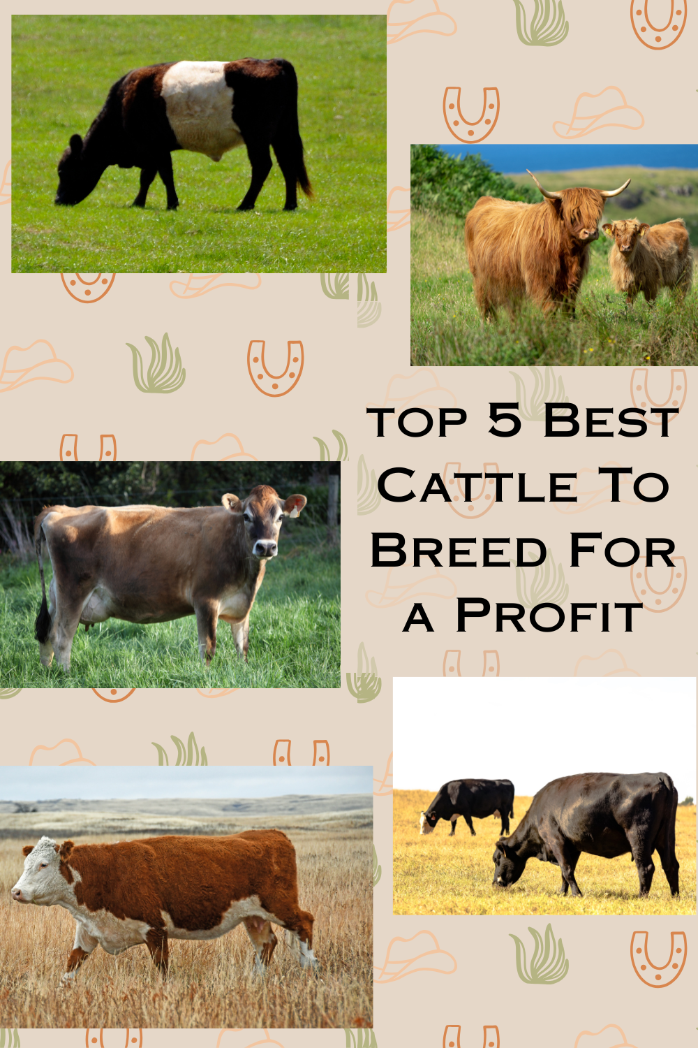 Top 5 Best Cattle To Breed For a Profit